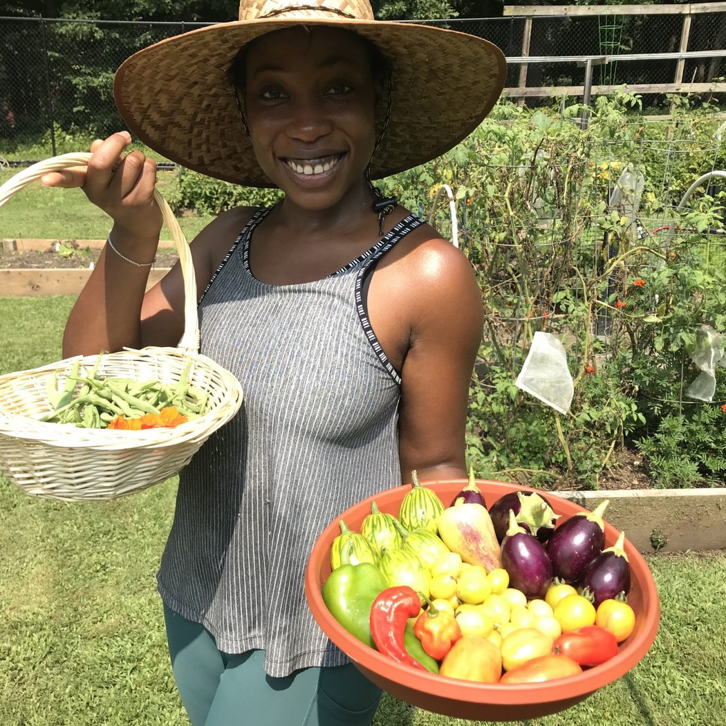Harvest Time 1